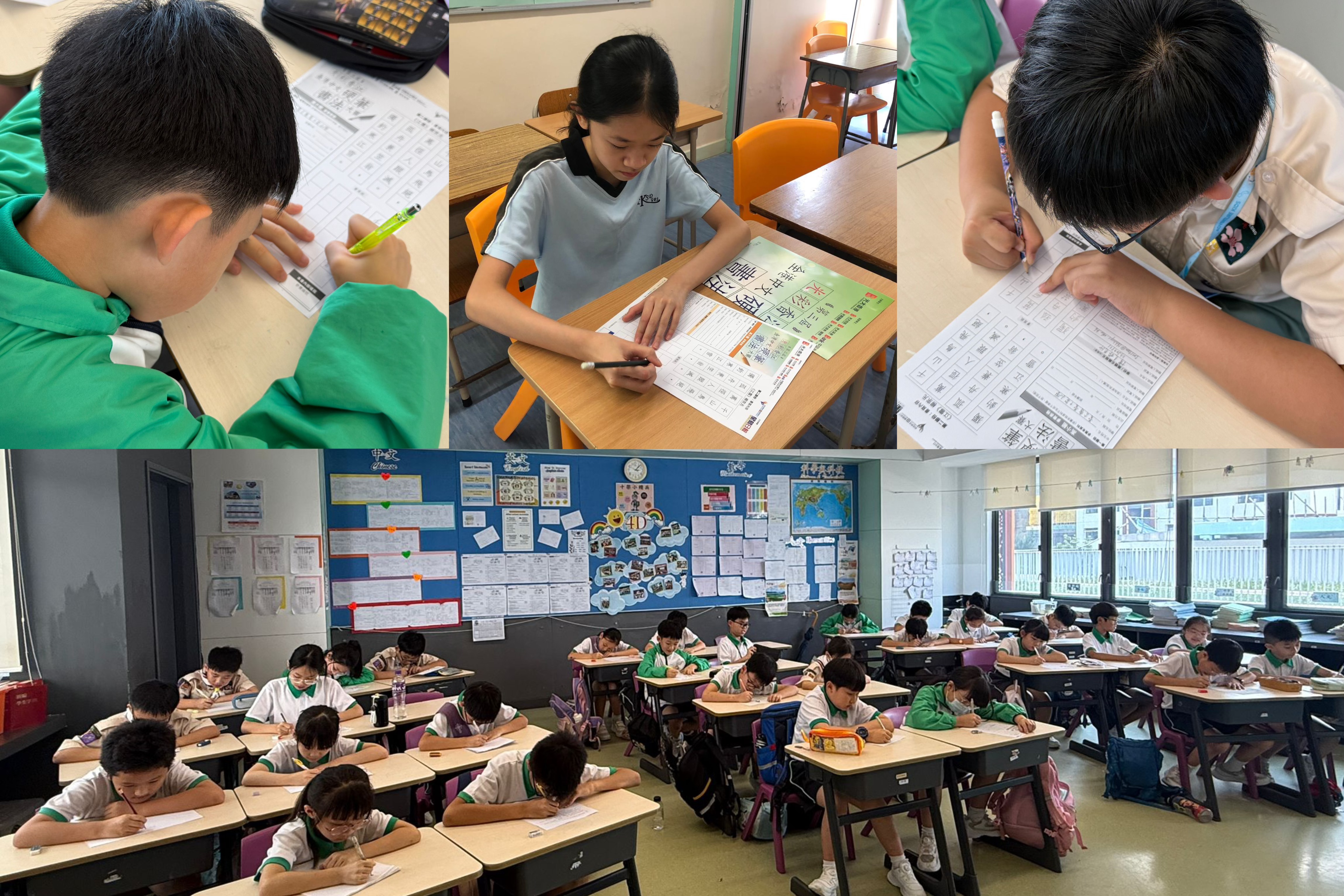 3_20260602103901A015 首页- 必发集团有限公司官方网站